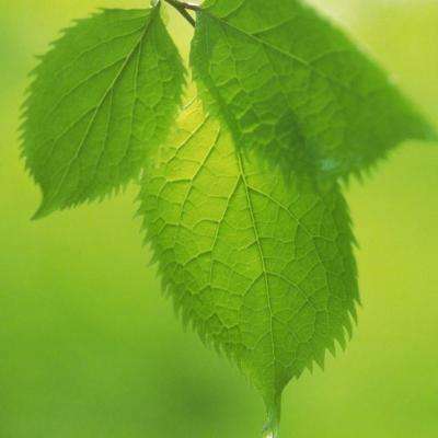 宝威体育官网入口