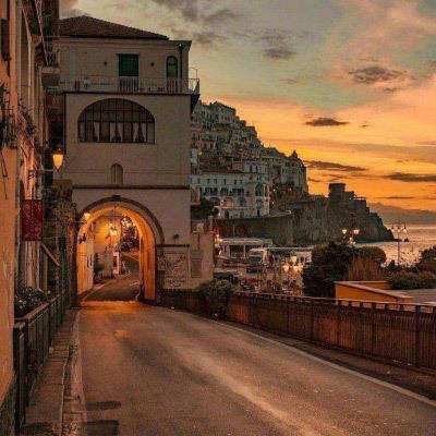 电玩舞会森林手机app下载