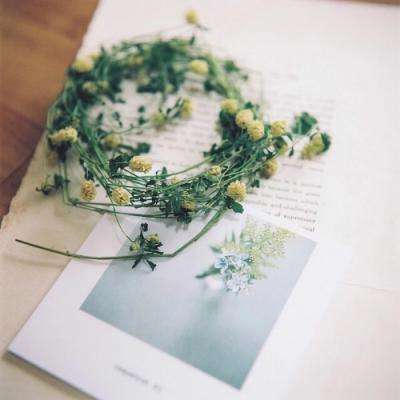 leyu·乐鱼(中国)体育app下载