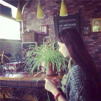 火博体育全站下载版截图