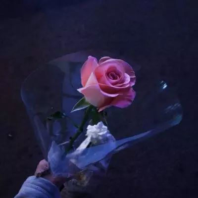 火博体育全站下载版截图